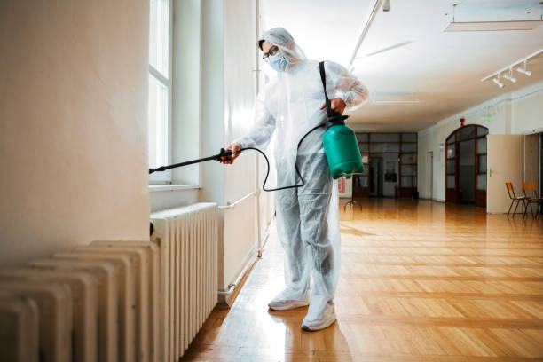 Best Real Estate Pest Inspections  in Corning, NY